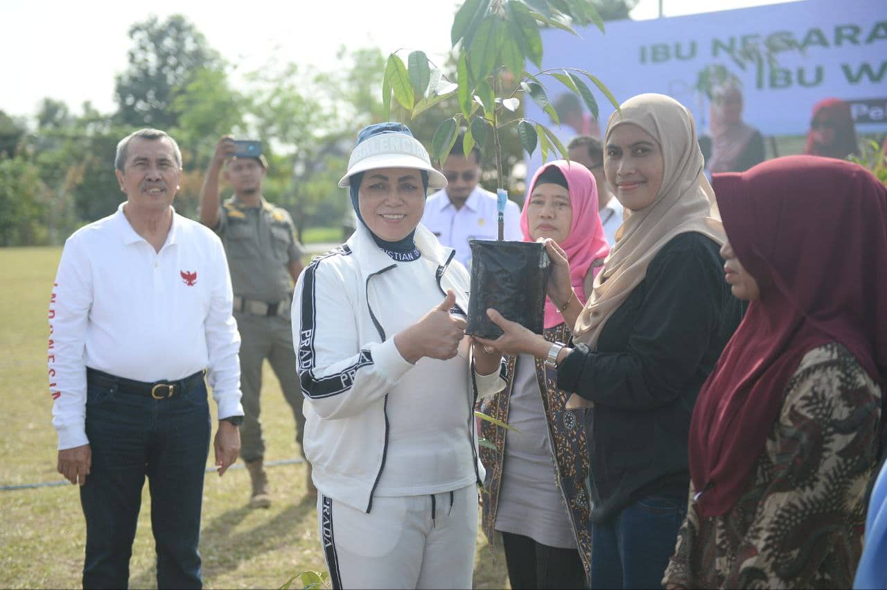 Gubri Syamsuar Ikut Tanam Gerakan 1000 Pohon Bersama Ibu Negara Secara Virtual