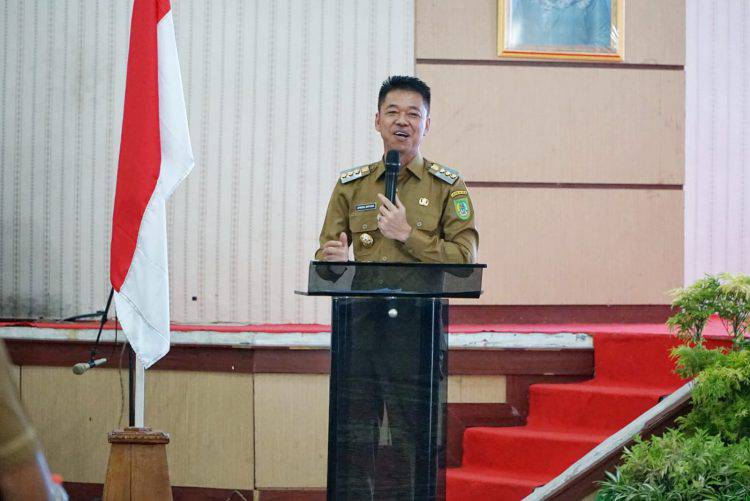 Bupati Rokan Hilir, Afrizal Sintong