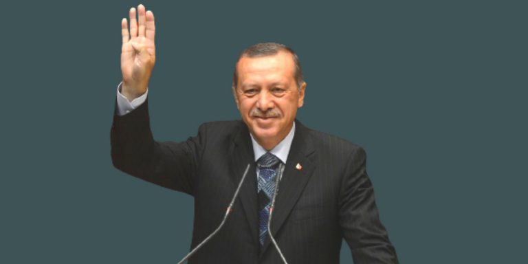 Pemilu turki, kabinet baru erdogan