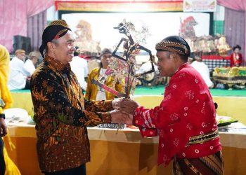 Pertunjukan wayang kulit