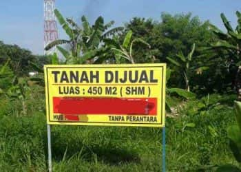 Beli tanah