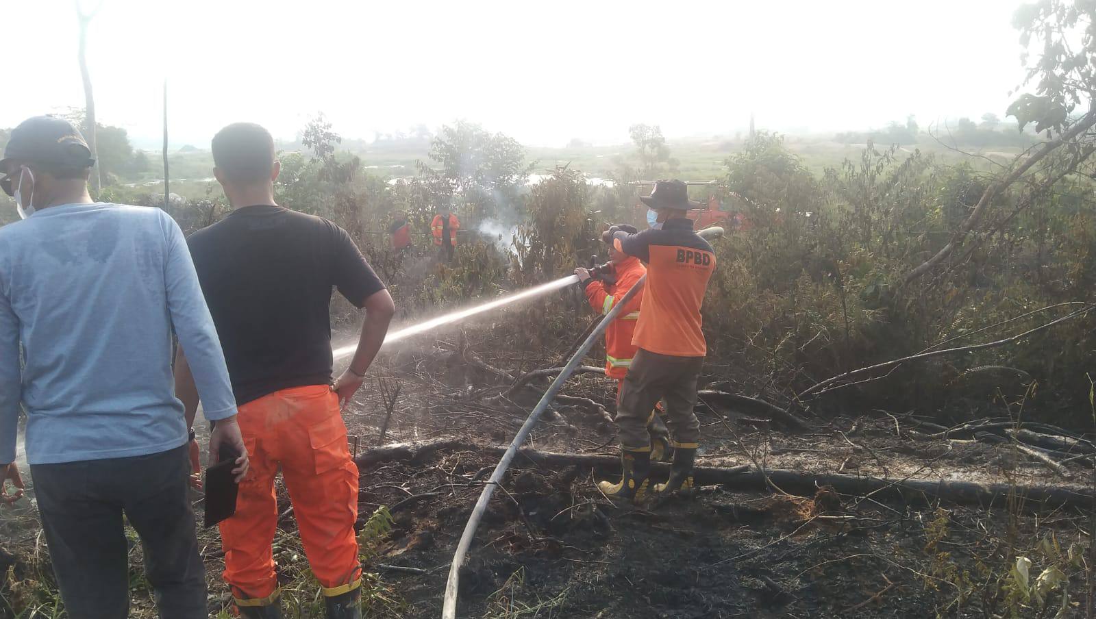 Buang Puntung Rokok Sembarangan Hektar Lahan Milik Warga Sungai Paku Ludes Terbakar Bertuahpos