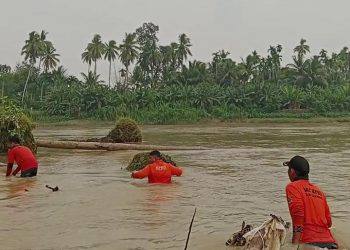 Team BPBD Kaunsing saat melakukan pencarian korban tenggelam di sungai kuantan