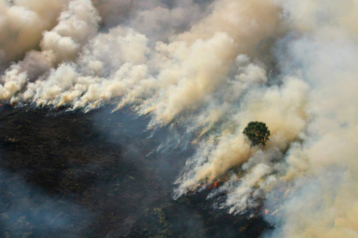 Kabut asap Kemenkes Sebut Belum Ada Kasus ISPA Berat di Kalimantan