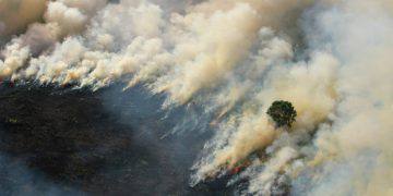 Kabut asap Kemenkes Sebut Belum Ada Kasus ISPA Berat di Kalimantan