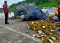 Menjelang Salat Jumat, Pick Up Bawa Buah Durian Kecelakaan di Tol Permai, Satu Korban Meninggal Dunia