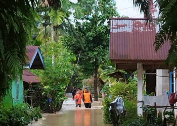 Kondisi banjir terkini di Desa Petapahan Kecamatan Gunung Toar Kuansing