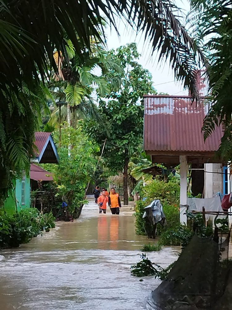 Kondisi banjir terkini di Desa Petapahan Kecamatan Gunung Toar Kuansing