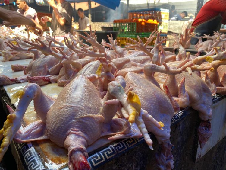 Harga Bahan Pokok di Pekanbaru, Ayam Ras dan Bawang Putih Masih Tinggi