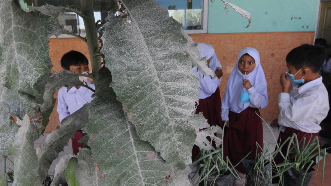 38 Sekolah di Gunung Marapi Terapkan PTM Meski Terkena Hujan Abu Erupsi