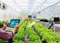 digital farming