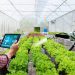 digital farming