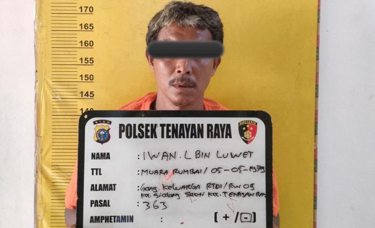 Polsek Tenayan Raya Berhasil Tangkap Pelaku Pencurian Pagar Besi