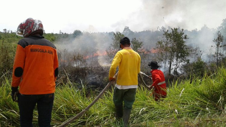 Cuaca Panas, Lebih 1 Hektar Lahan di Pekanbaru Terbakar