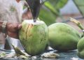 Tak Selalu Baik, Ini Bahaya Mengonsumsi Air Kelapa Berlebihan