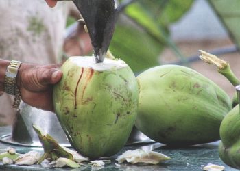 Tak Selalu Baik, Ini Bahaya Mengonsumsi Air Kelapa Berlebihan