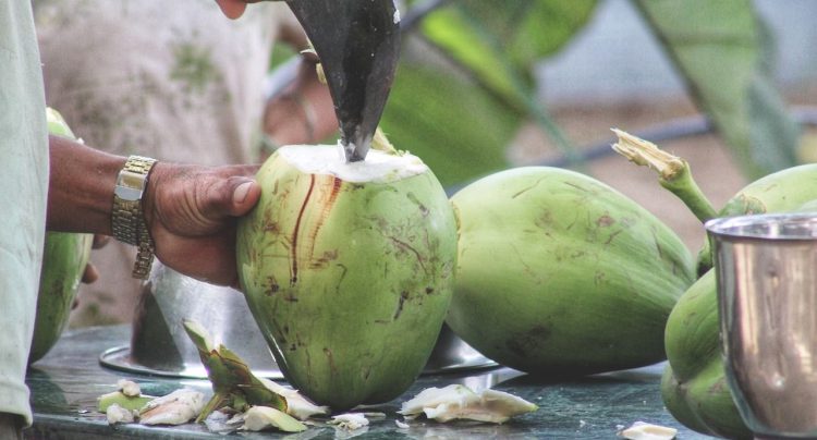 Tak Selalu Baik, Ini Bahaya Mengonsumsi Air Kelapa Berlebihan