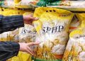 Harga Beras SPHP 5 Kg di Riau