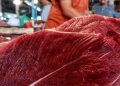 harga daging sapi hari ini