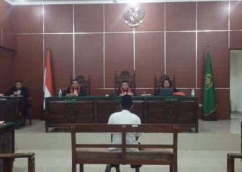 Sidang Kasus Perburuan Badak Bercula Satu, Terdakwa Memohon Keringanan Hukuman