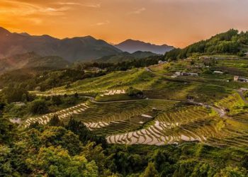 Pascabajir Lahar Dingin, Distribusi dan Produksi Bahan Pangan di Sumbar Perlu Segera Diatasi