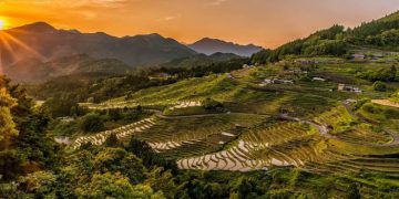 Pascabajir Lahar Dingin, Distribusi dan Produksi Bahan Pangan di Sumbar Perlu Segera Diatasi