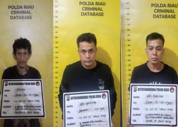 Ditresnarkoba Polda Riau Ungkap Peredaran Narkoba di Kampar, Sepucuk Airsoft Gun Diamankan