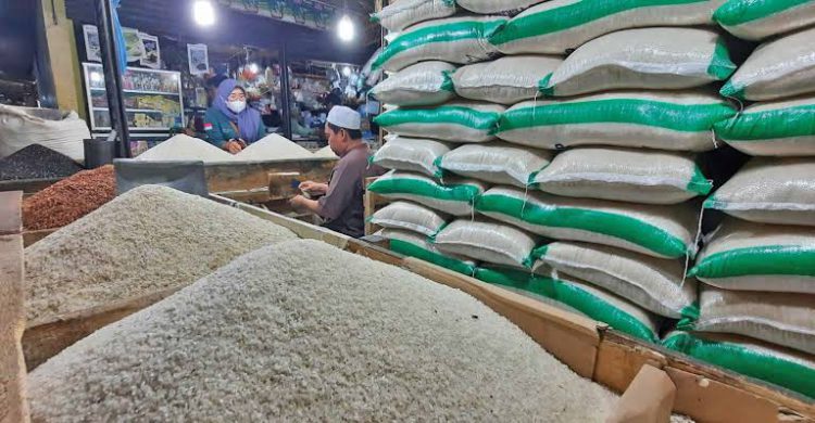 harga beras di riau kompak naik