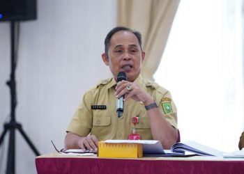 Pj Bupati Inhil