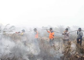 Kapolres Siak AKBP Asep Sujarwadi melakukan pemadaman api di Kampung Buantan Besar, Kecamatan Siak, Selasa (30/7/2024). (SEKWAN DPRD SIAK )