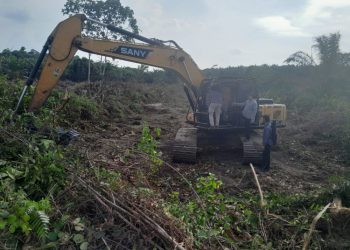 Hutan Lindung Rimbang Baling