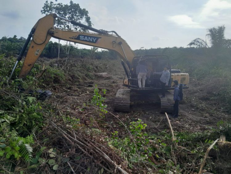 Hutan Lindung Rimbang Baling