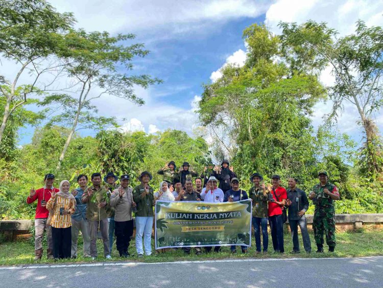 Tanam Pohon untuk Mitigasi Bencana