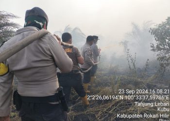 Kebakaran Lahan 25 Hektare yang Melanda Simpang Lasa, Rohil Berhasil Dipadamkan