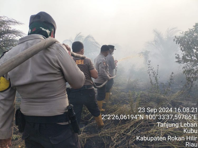 Kebakaran Lahan 25 Hektare yang Melanda Simpang Lasa, Rohil Berhasil Dipadamkan