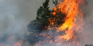 604 Titik Panas Terpantau di Sumatera, Riau Catat 38 Titik