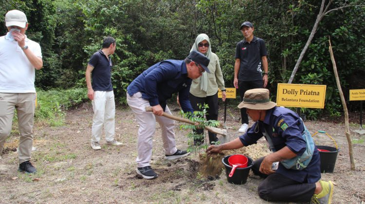 Belantara Foundation dan Mitra Jepang Tanam Pohon Langka di Tahura SSH Riau