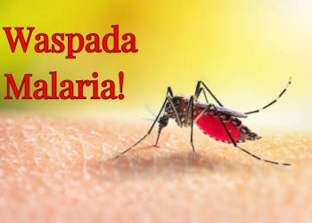 Penyebaran Malaria di Kabupaten Indragiri Hilir Mencapai 128 Kasus