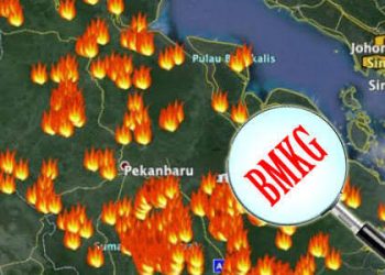 BMKG Deteksi 20 Titik Panas di Sumatera, Dua di Antaranya Berada di Riau