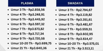 Harga tbs kelapa sawit