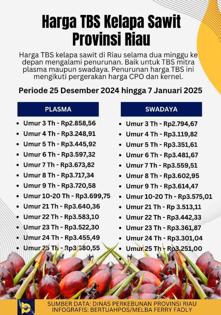 Harga tbs kelapa sawit