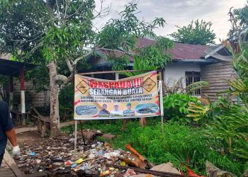 Waspada Serangan Buaya di Inhil