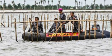 Bongkar Pagar Laut di Tangerang Tanpa Koordinasi, KKP Sesalkan Tindakan TNI AL