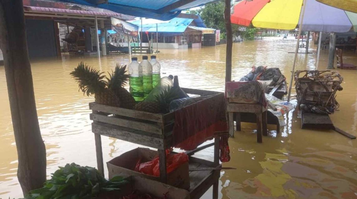 Pemprov Riau Minta Bantuan Logistik dan Peralatan ke BNPB untuk Tangani Banjir