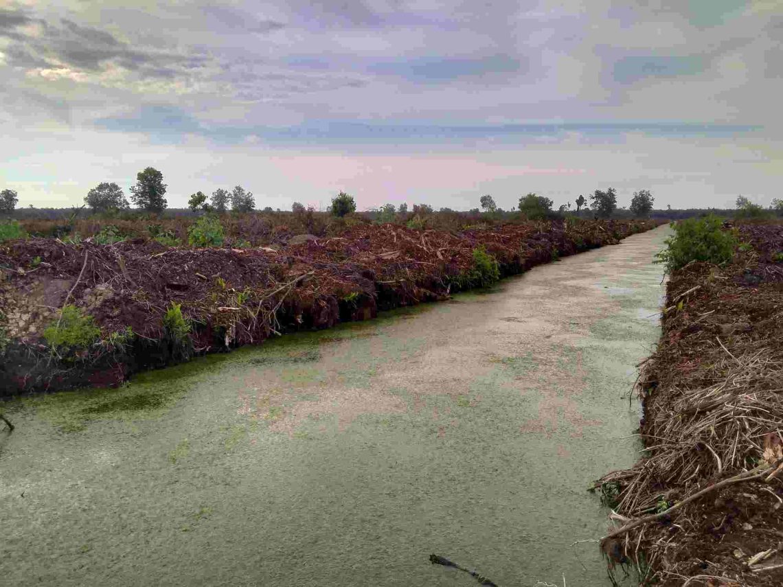 Termasuk Kades dan Sekdes, 5 Orang Ditetapkan sebagai Tersangka dalam Kasus Perambahan 150 Hektare Hutan di Inhu