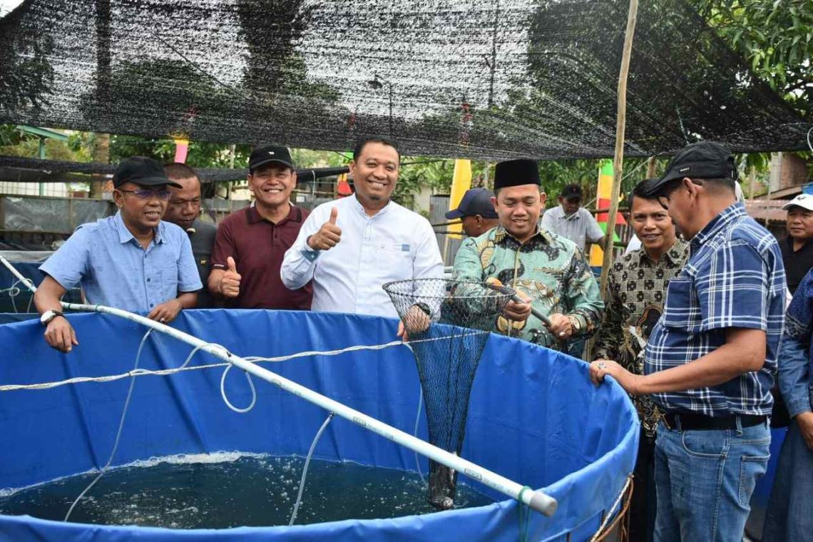 Dukung Ekonomi Lokal, APPIAT Panen Perdana 1 Ton Ikan Nila di Pekanbaru
