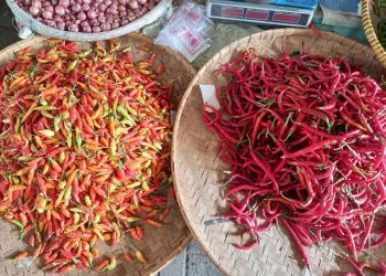 Harga Cabai di Pekanbaru Makin Pedas, Tembus Rp85ribu per Kg