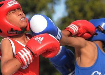 Adi Putra Pradana Dicopot dari Ketua Pertina Riau