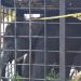 Terpisah dari Kelomponya, Anak Gajah Tersesat di Permukiman Warga Kampar