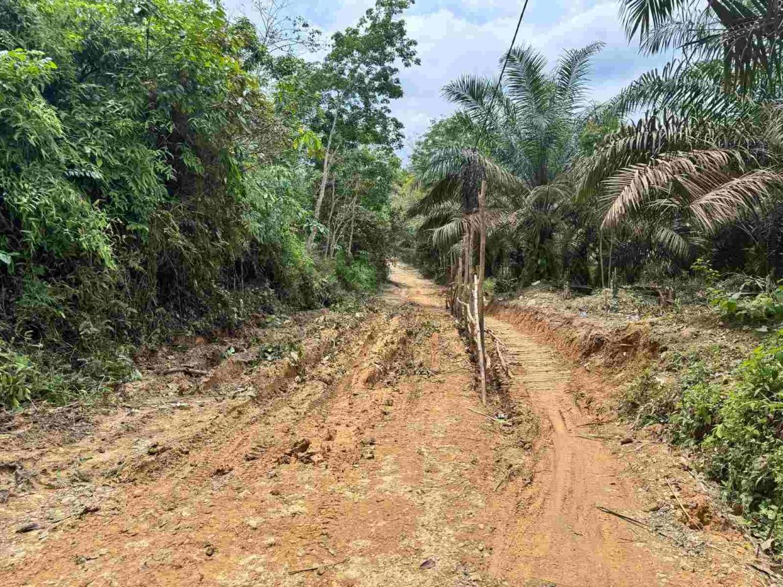 Mahasiswa Desak Kepala Desa Lubuk Mandian Gajah Prioritaskan Perbaikan Jalan Antar Dusun